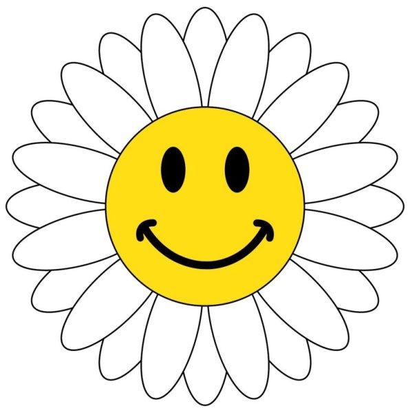 Ромашка с улыбкой