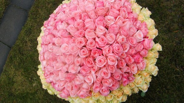 Букеты цветов шикарные огромные