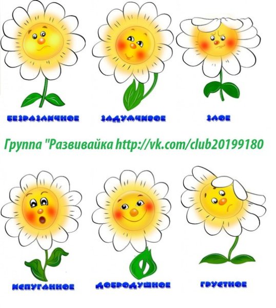 Подсолнух PVZ