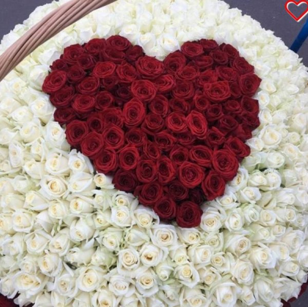 Букет роз огромный