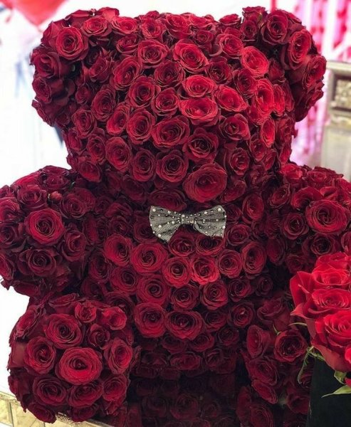 Тропический цветок протея