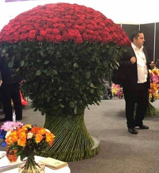 Огромный букет красных роз