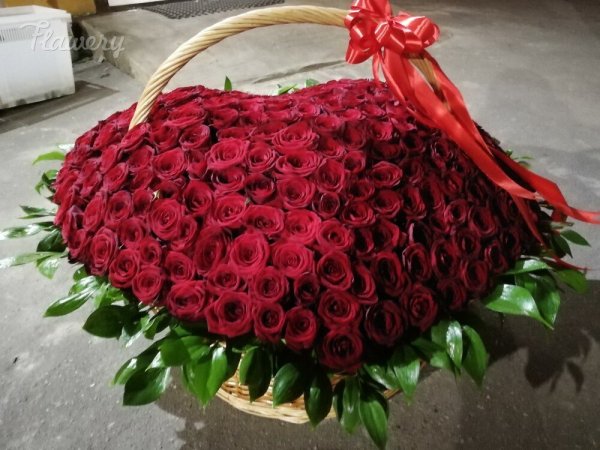 Раффлезия Арнольди