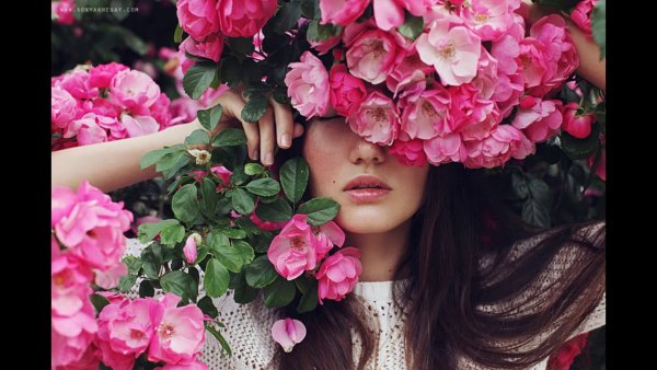 Художник Венди Энджи