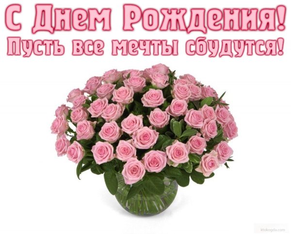 Хризантемы с днем рождения с пожеланиями