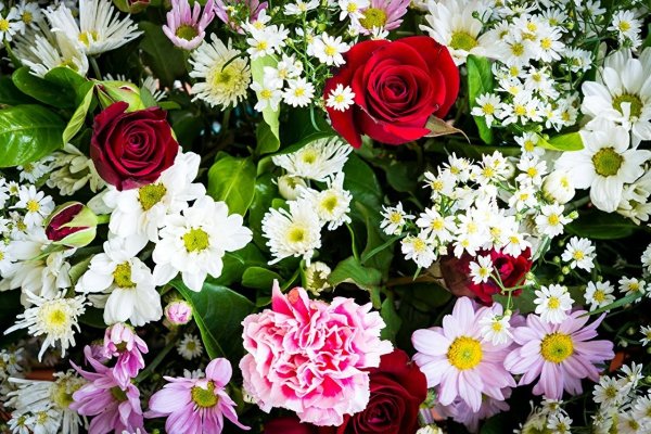 Лилии розы хризантемы