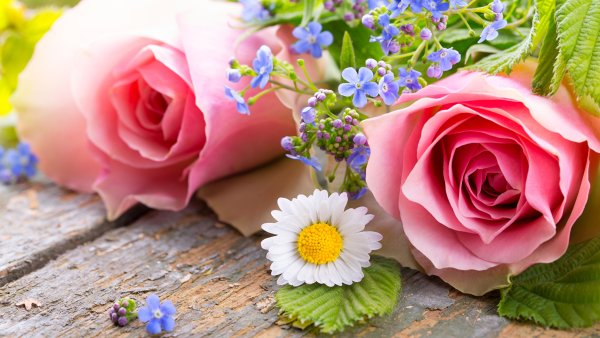 Полевые цветы с розами