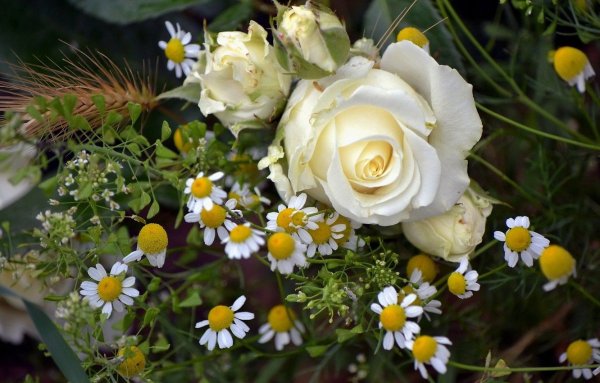 Букет полевых цветов