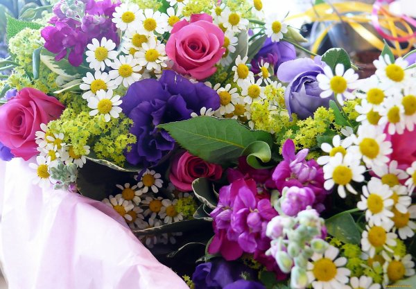 Красивые цветы