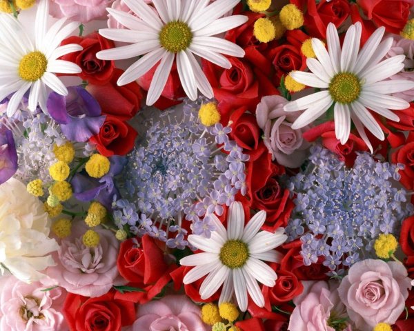 Букет розы с ромашками