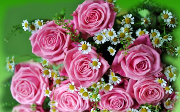 Розы и ромашки