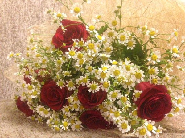 Букет цветов ромашки