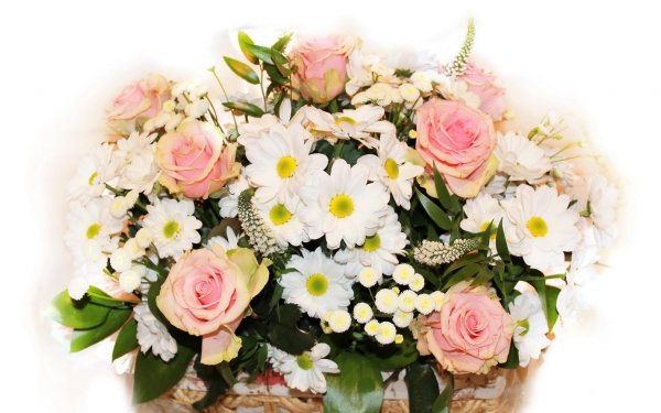 Розы хризантемы и ромашки