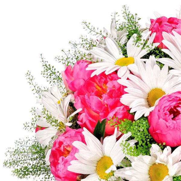 Букет розы с ромашками