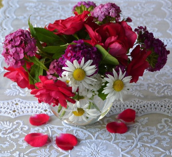 Ромашки для милашки