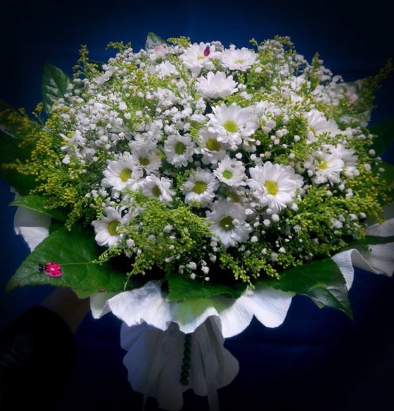 Цветы красиво