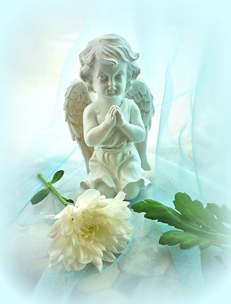 Ангелочки в цветах