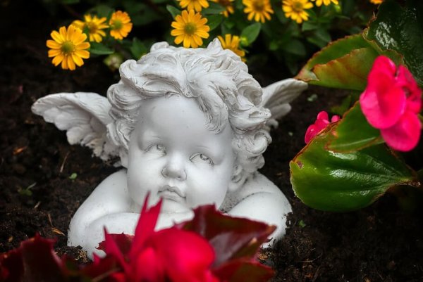 Ангел с цветком