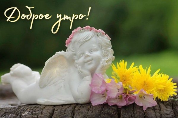 Ангелочки в цветах