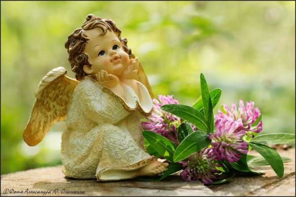 Девочка ангел с цветами