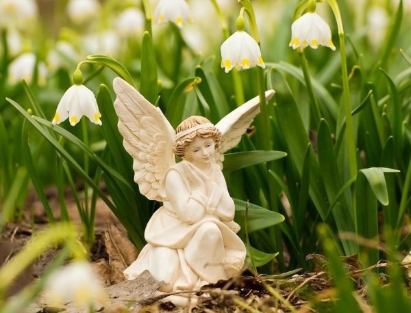 Лиза Джейн русалки