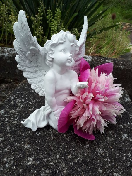 Фея счастья