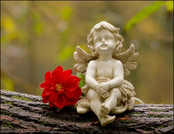 Ангел весной