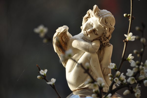 Ангелочек на природе