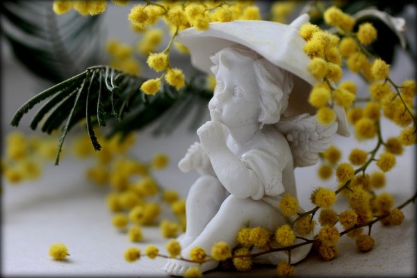 Ангелочки в цветах