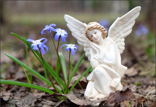 Лиза Джейн фотограф