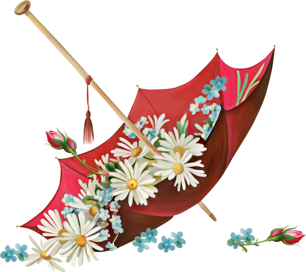 Цветы в зонтике