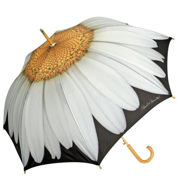 Зонтик в виде ромашки
