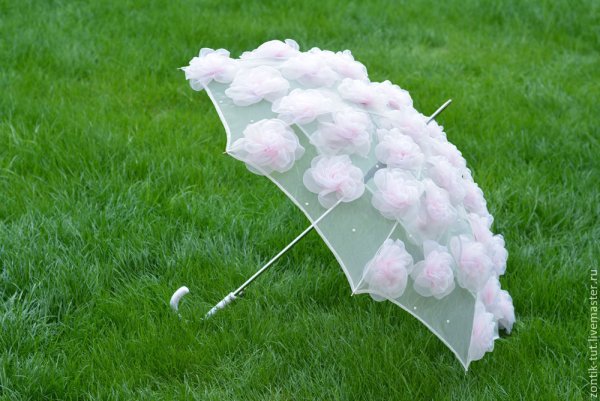 Fulton зонт Floral