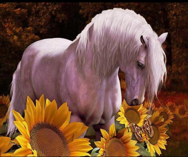 Лошадь в подсолнухах