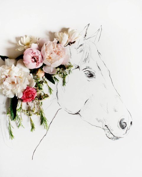 Лошадка с цветами