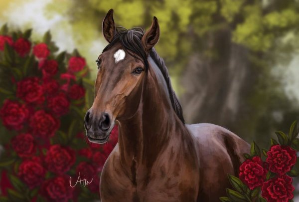 Открытки с лошадьми