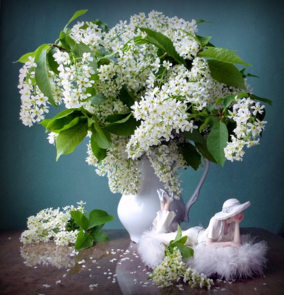 Сирень нежность