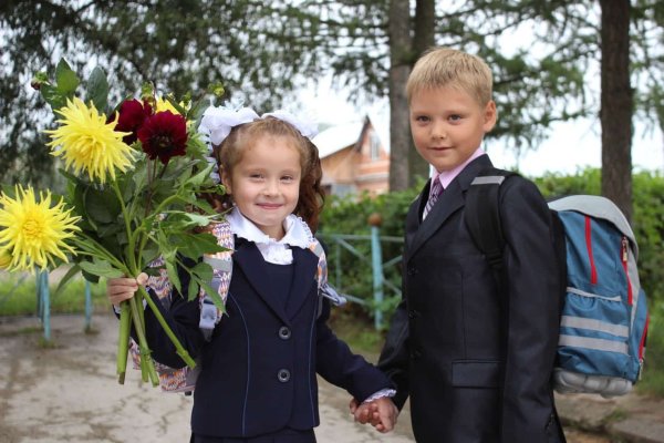 Первоклассник идет в школу