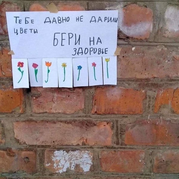 Давно не дарили цветы объявления