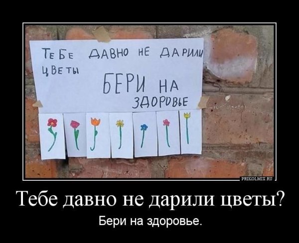 Давно не дарили цветы