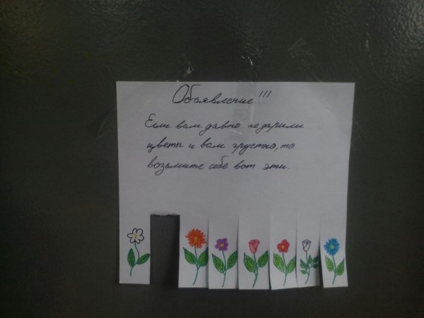 Объявление если вам давно не дарили цветы