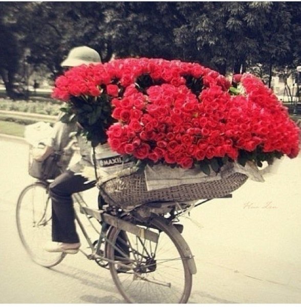 Прикольные Отрывные объявления