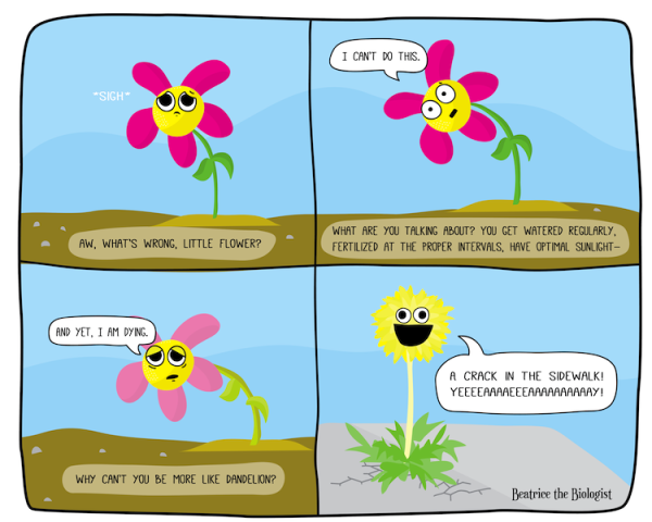 Что нельзя вернуть