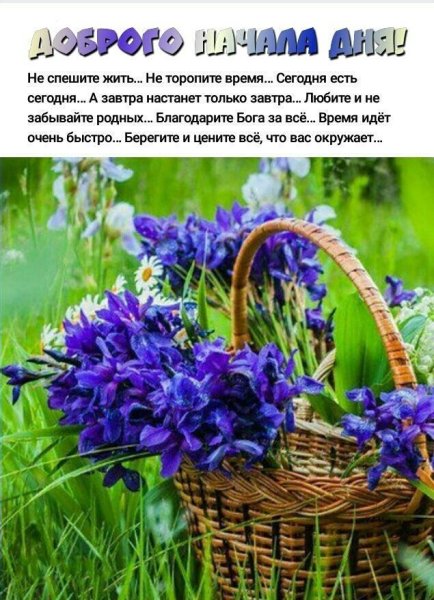 Доброе утро ирисы с надписями