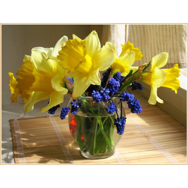 Красивый Солнечный букет весенний