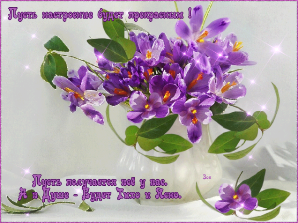 Открытки с добрым утром с ирисами