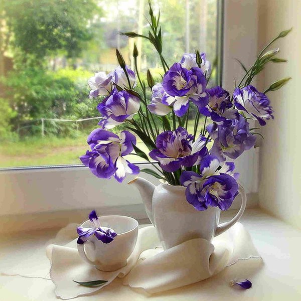 Нежные цветы на подоконнике