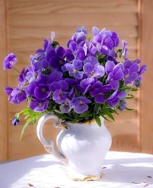 Доброе фиалковое утро