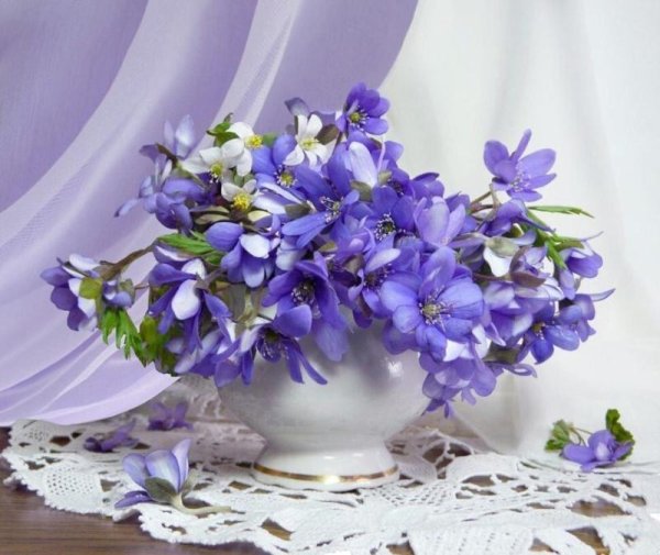 Фиалки нежный букетик