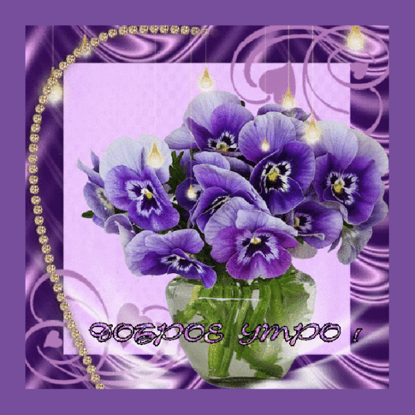 Открытки с добрым утром с анютиными глазками